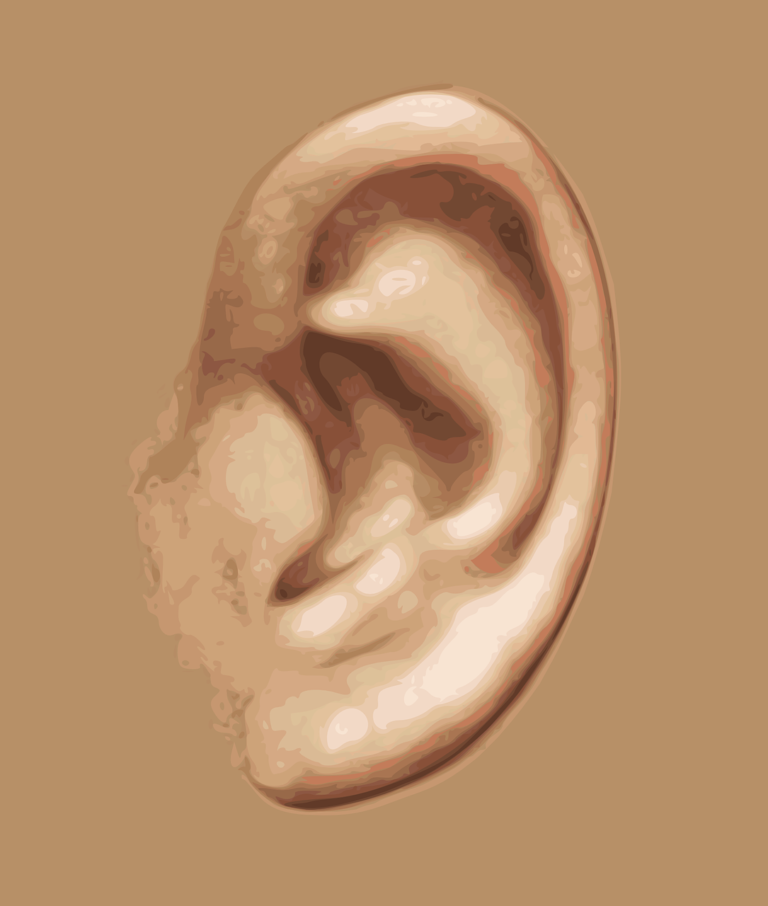 ear, hearing, listening-159305.jpg